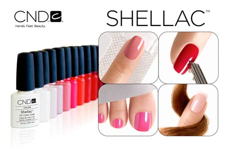 shellac cdn chiavari